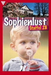 Sophienlust Staffel 28 Familienroman
