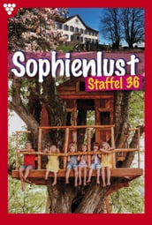Sophienlust Staffel 36 Familienroman