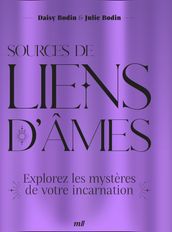 Sources de liens d âmes : Explorez les mystères de votre incarnation