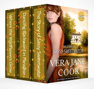 Southern Fiction Box Set - Vera Jane Cook