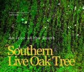 Southern Live Oak Tree