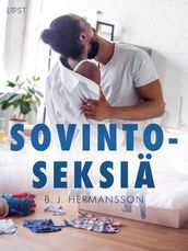 Sovintoseksiä  eroottinen novelli