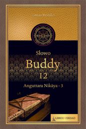 Sowo Buddy - 12