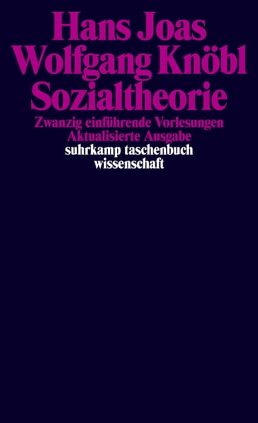 Sozialtheorie - Hans Joas - Wolfgang Knobl