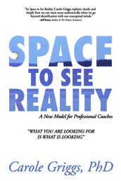Space to See Reality: A New Model for Professional Coaches