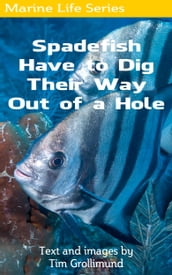 Spadefish Have to Dig Their Way Out of a Hole