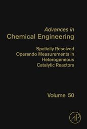 Spatially Resolved Operando Measurements in Heterogeneous Catalytic Reactors