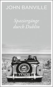 Spaziergänge durch Dublin