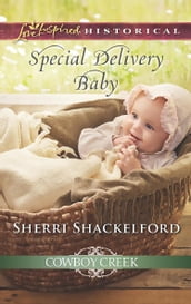 Special Delivery Baby (Mills & Boon Love Inspired Historical) (Cowboy Creek, Book 2)