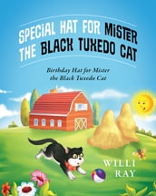 Special Hat for Mister the Black Tuxedo Cat