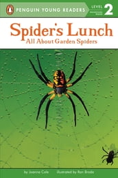 Spider s Lunch