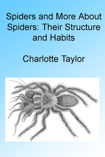 Spiders and More About Spiders: Their Structure and Habits , Illustrated - Charlotte Taylor