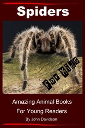 Spiders for Kids: Amazing Animal Books for Young Readers