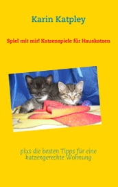 Spiel mit mir! Katzenspiele für Hauskatzen plus die besten Tipps für eine katzengerechte Wohnung