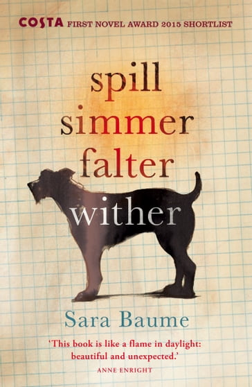 Spill Simmer Falter Wither - Sara Baume