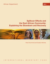 Spillover Effects and the East African Community: Explaining the Slowdown and the Recovery