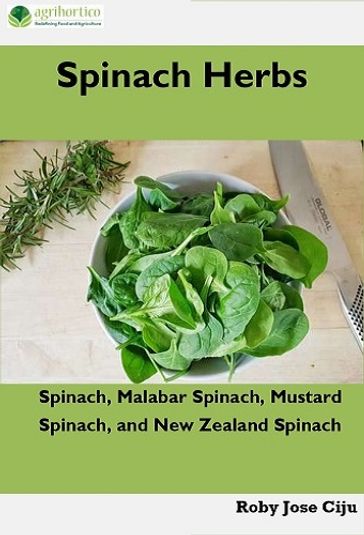 Spinach Herbs - ROBY JOSE CIJU