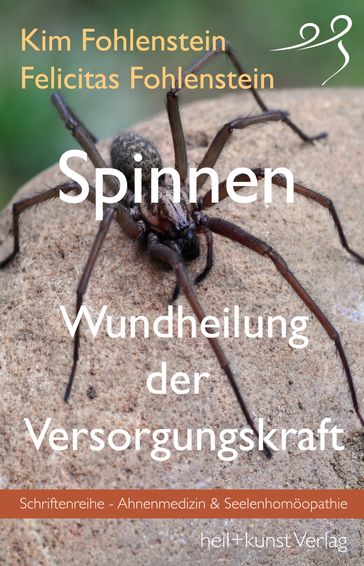 Spinnen - Wundheilung der Versorgungskraft - Felicitas Fohlenstein - Kim Fohlenstein