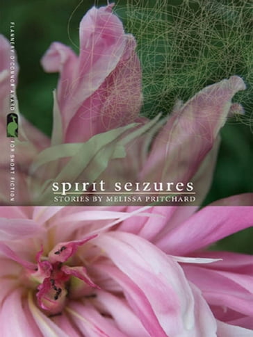 Spirit Seizures - Melissa Pritchard