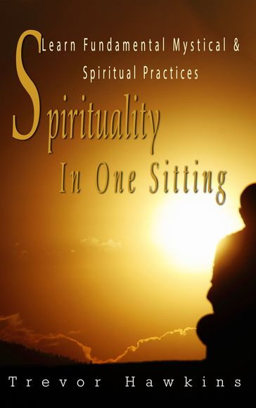 Spirituality In One Sitting - Trevor Hawkins