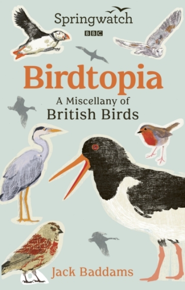 Springwatch: Birdtopia - Jack Baddams