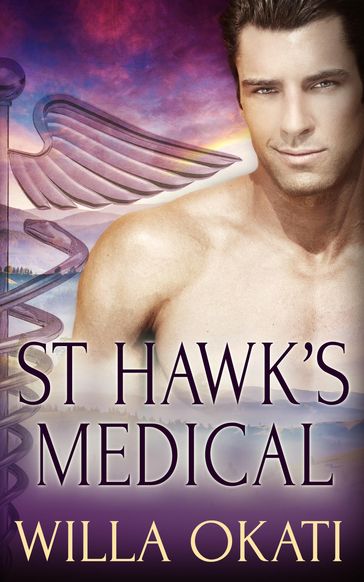 St. Hawk's Medical: A Box Set - Willa Okati