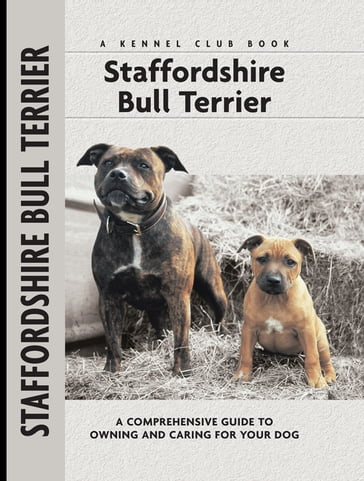 Staffordshire Bull Terrier - Jane Hogg Frome