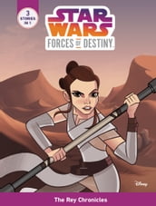 Star Wars Forces of Destiny: The Rey Chronicles