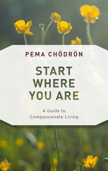 Start Where You Are - Pema Chodron