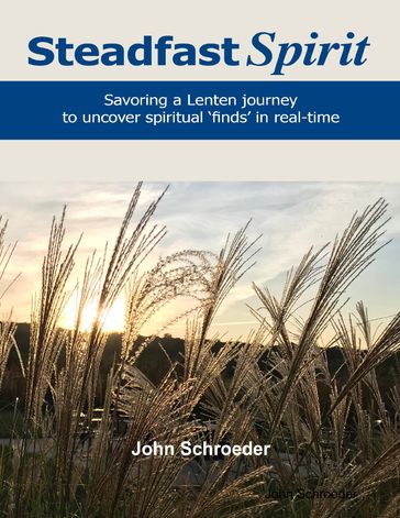 Steadfast Spirit: Savoring a Lenten Journey to Uncover Spiritual Finds in Real-Time - John Schroeder