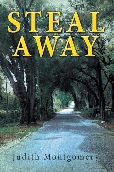 Steal Away - Judith Montgomery