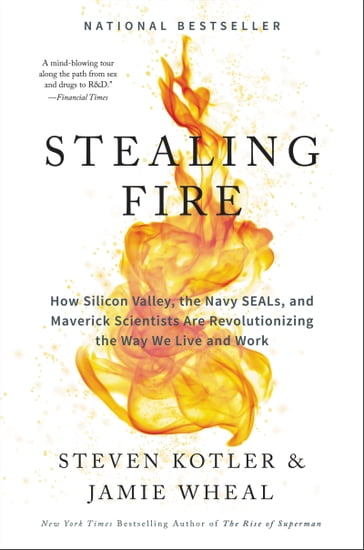 Stealing Fire - Jamie Wheal - Steven Kotler