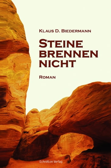 Steine brennen nicht - Klaus D. Biedermann