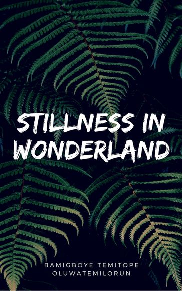 Stillness In Wonderland - Bamigboye Temitope Oluwatemilorun