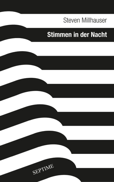 Stimmen in der Nacht - Steven Millhauser