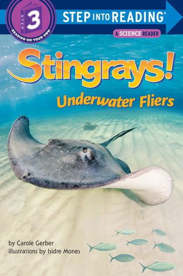 Stingrays! Underwater Fliers - Carole Gerber