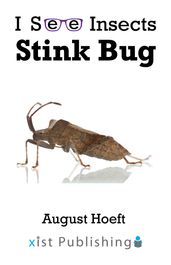 Stink Bug