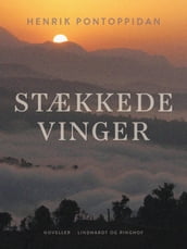 Stækkede vinger