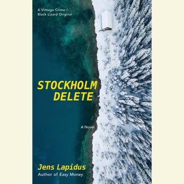 Stockholm Delete - Jens Lapidus