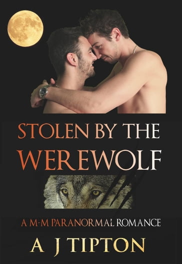 Stolen by the Werewolf: A M-M Paranormal Romance - AJ Tipton