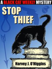 Stop Thief