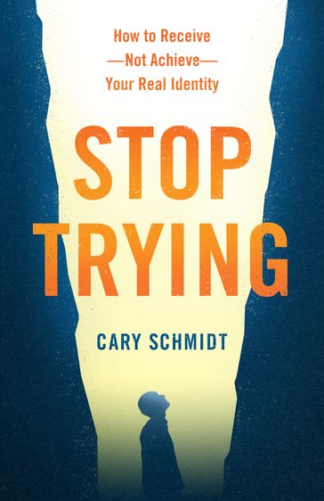 Stop Trying - Cary Schmidt