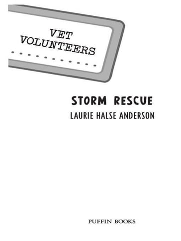 Storm Rescue - Laurie Halse Anderson