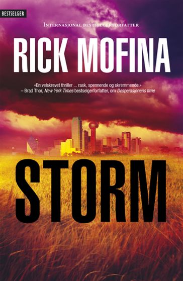 Storm - Rick Mofina