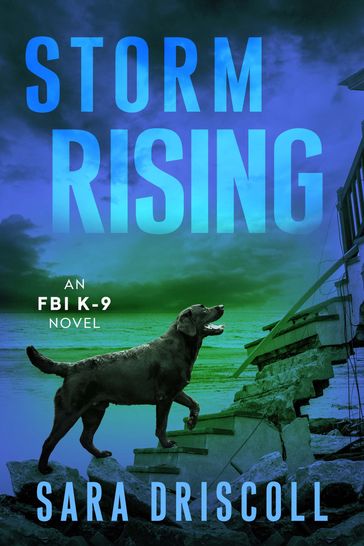 Storm Rising - Sara Driscoll