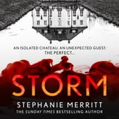 Storm: The gripping new escapist thriller from the Sunday Times bestselling author