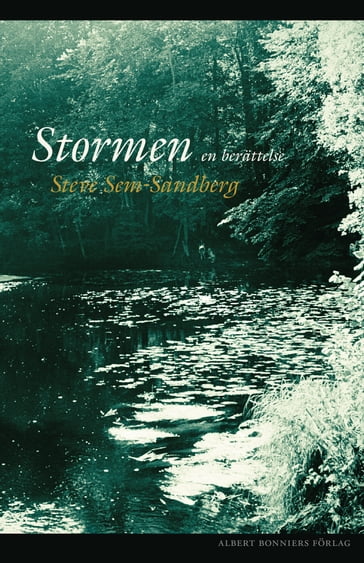 Stormen : en berättelse - Steve Sem-Sandberg