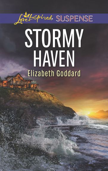 Stormy Haven (Coldwater Bay Intrigue, Book 2) (Mills & Boon Love Inspired Suspense) - Elizabeth Goddard