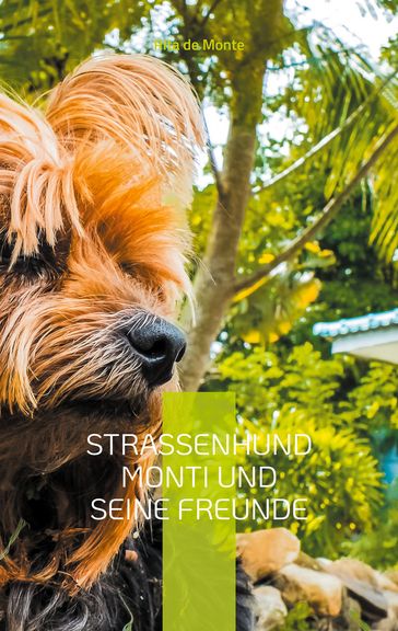 Straßenhund Monti und seine Freunde - Rita de Monte