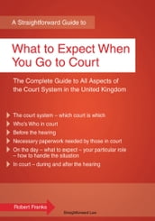 A Straightforward Guide to What to Expect When You Go to Court